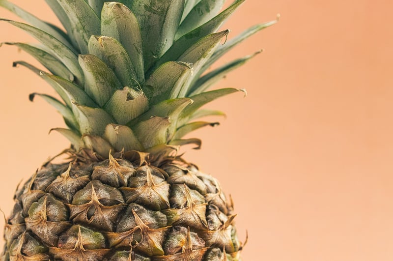 Tropical Cuisine